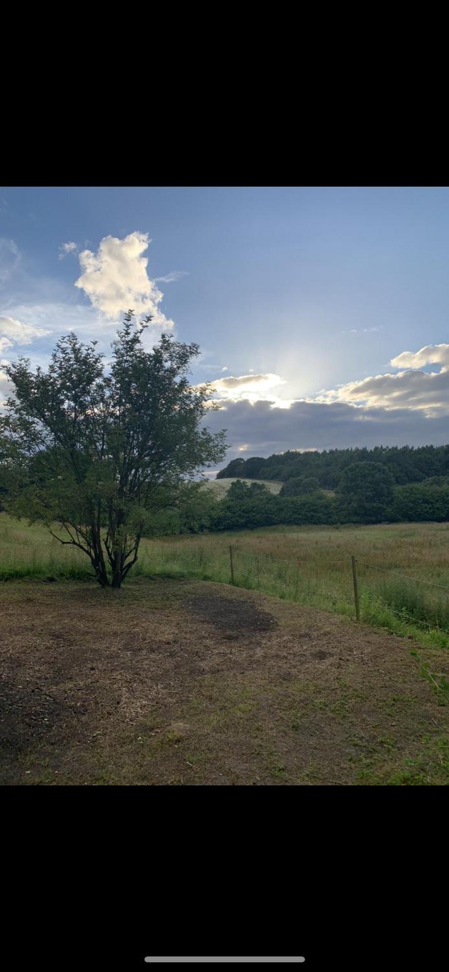 Glamping Mi Casa Tu Casadk Hotel Vissenbjerg Eksteriør billede